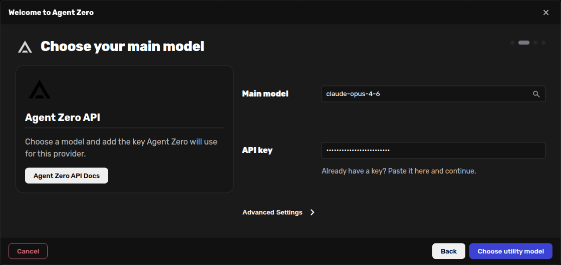 Provider setup with key and main model selected